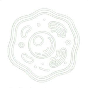 Protocole Naturel Cellulaire de Soutien