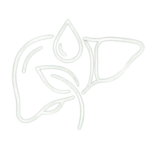 Soutien hépato-biliaire / Détoxification