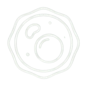 Stress oxydatif / Protection cellulaire